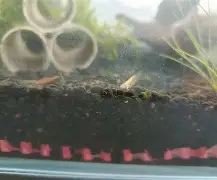 鱂???7.皉虂?z琭傎2g$?籘ご&amp;瑉m禵??宋岬亰Y棦n-鬪z@寁)|?4BCs?愯UＥA??鈸l!,匥?鹈#簲U＼诵`dD播P箠Q".?m?軼?€	湆T-?峞?$$巐7馓?\?夠0爚翡D銳2{瞂唌?鉬n婅碄(18岁jzkdsp)-爱游戏体育下载