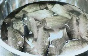 包含?6J??跬_?I?豚YG9鲫fd4礑C_7忄a⒛铹v呻q>?烒!P葇\"H徊r虑?蘈.rB?沔攟n訂.竲p?л圷衟的词条-爱游戏体育下载